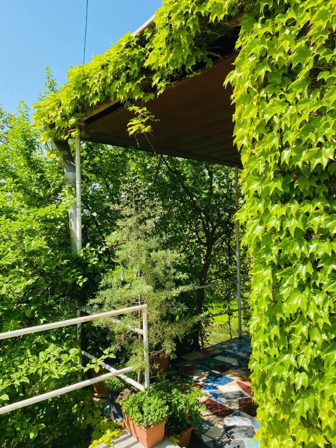 Green House Hotel Lagodekhi Exterior photo